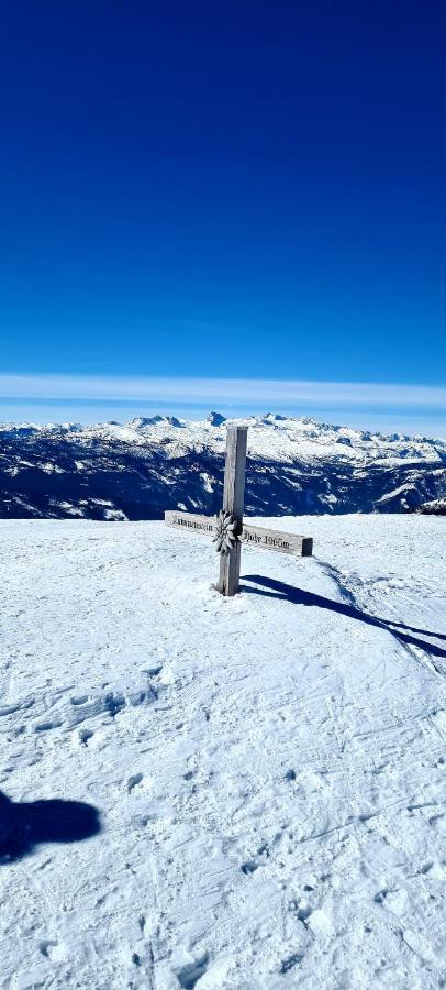 Ferienwohnungen Bergpanorama Bad Mitterndorf Eksteriør bilde