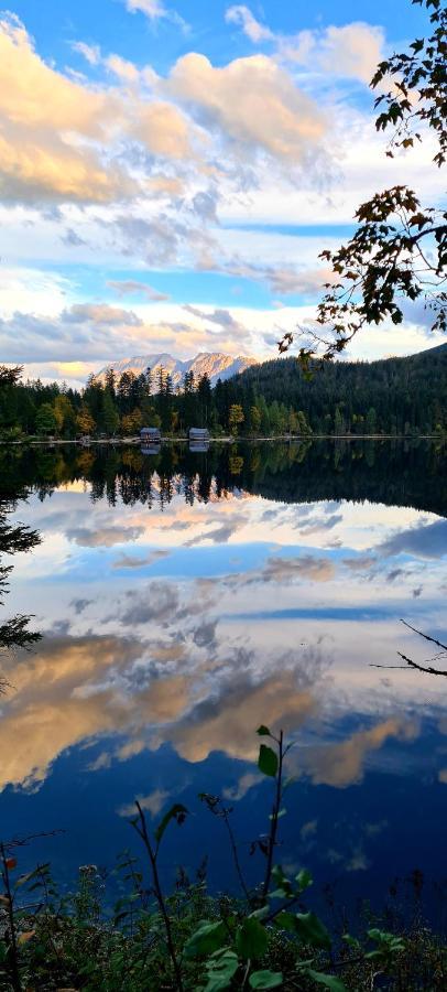 Ferienwohnungen Bergpanorama Bad Mitterndorf Eksteriør bilde