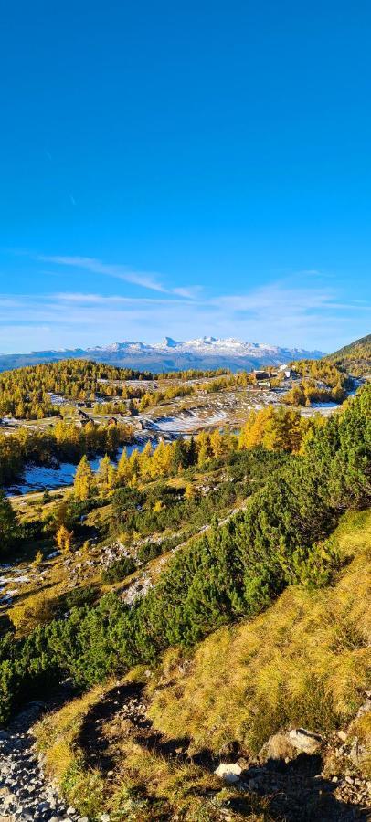Ferienwohnungen Bergpanorama Bad Mitterndorf Eksteriør bilde